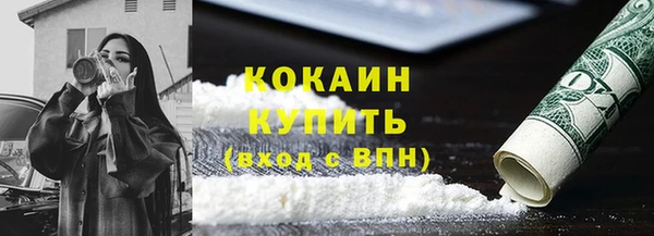 индика Каменка