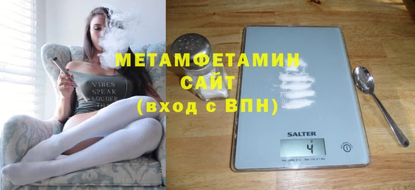 индика Каменка