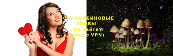 мдпв Каменногорск