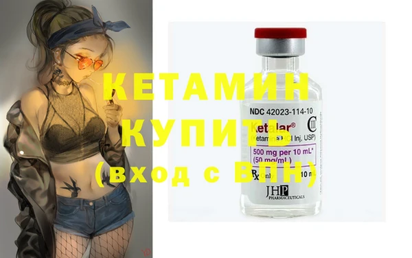 индика Каменка