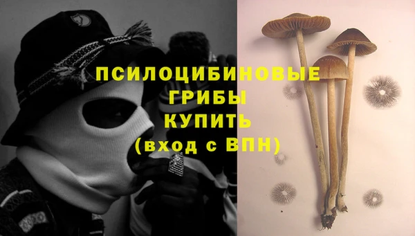 мдпв Каменногорск
