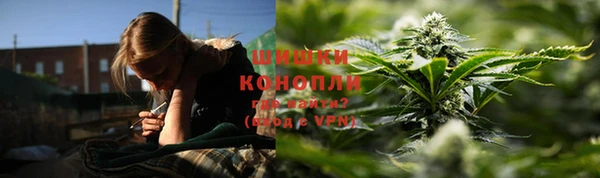 PSILOCYBIN Каменск-Шахтинский
