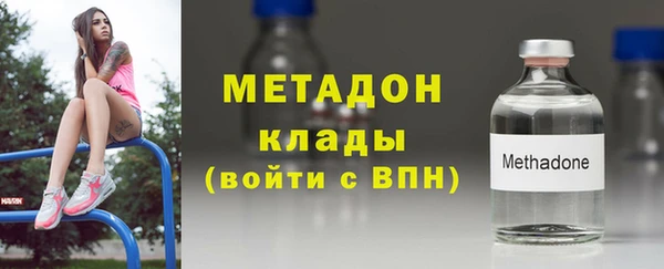 индика Каменка