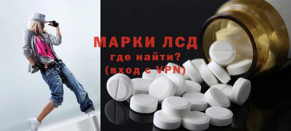 индика Каменка
