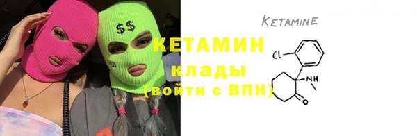 индика Каменка
