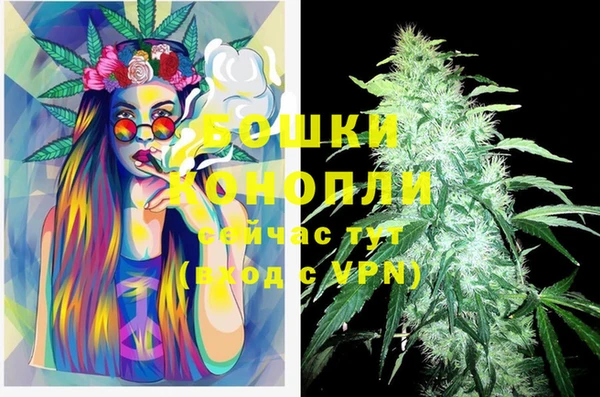 мдпв Каменногорск