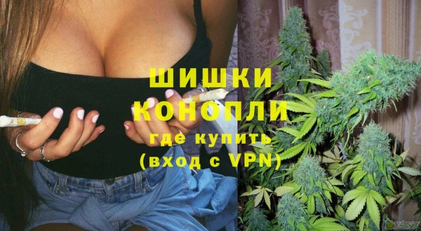 PSILOCYBIN Каменск-Шахтинский