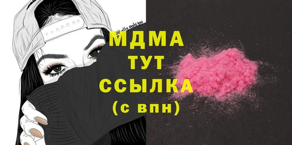 индика Каменка